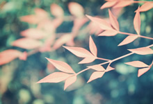 USDE、BNSOL 与 WBETH 价格脱锚事件及后续处理进展说明