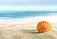 WOTD猜字游戏跟单交易：赚取币安积分，解锁更多奖励！（2024-05-06）