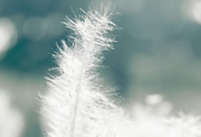 什么是量化宽松（QE）