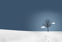 币安杠杆推出逐仓杠杆自动转账模式