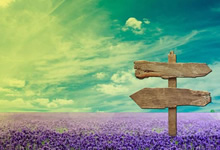 八年的坚韧征程：八位币安元老如何度过 2017 年至 2025 年的每个加密货币周期并蓬勃发展